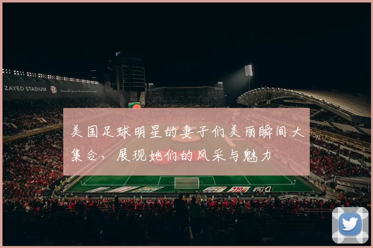 美国足球明星的妻子们美丽瞬间大集合，展现她们的风采与魅力