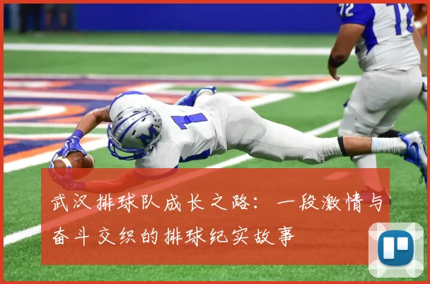 武汉排球队成长之路：一段激情与奋斗交织的排球纪实故事