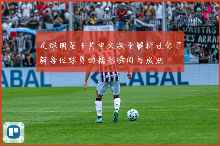 足球明星卡片中文版全解析让你了解每位球员的精彩瞬间与成就
