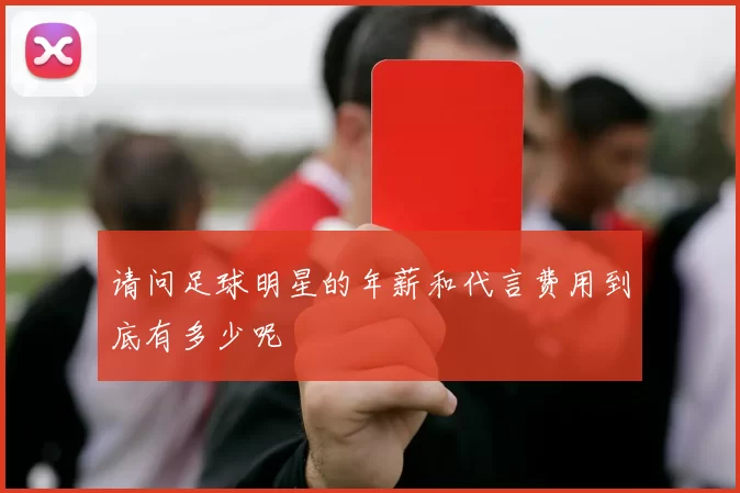 请问足球明星的年薪和代言费用到底有多少呢